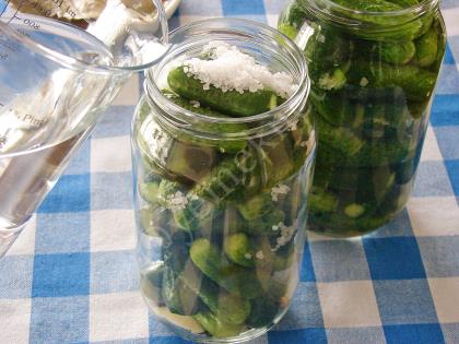 Sirkesiz Limonsuz Kornişon Turşusu