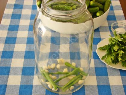 Soğuk Suyla Salatalık Turşusu