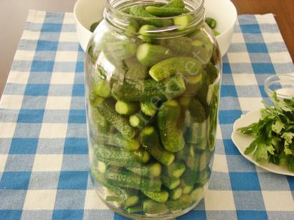 Soğuk Suyla Salatalık Turşusu