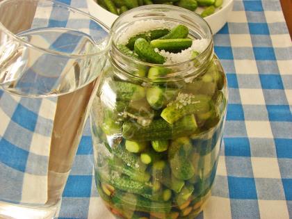 Soğuk Suyla Salatalık Turşusu