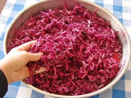 Hızlı Mor Lahana Turşusu