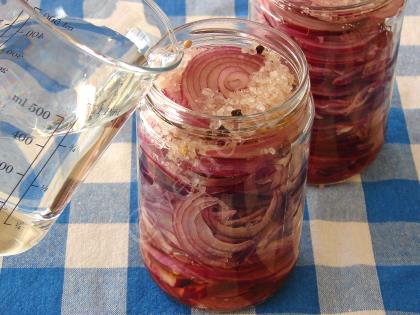 Pickled Red Onion Recipe