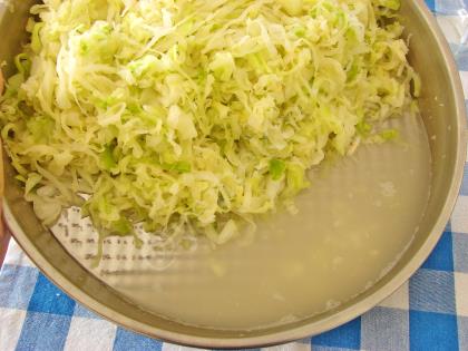 Lakto Fermente Lahana Turşusu