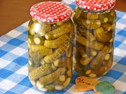 Limon Tuzsuz Kornişon Turşu