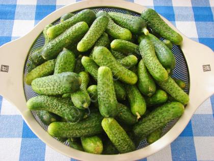 Limon Tuzsuz Kornişon Turşu