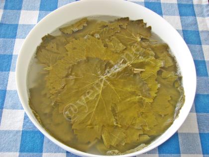 Zeytinyağlı Yaprak Sarma