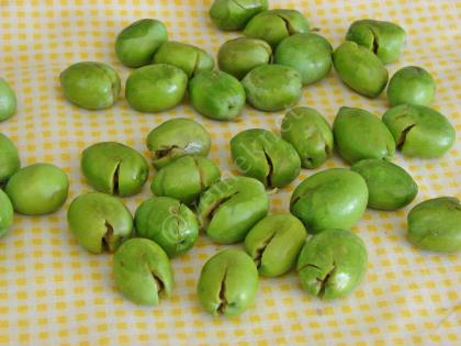 Kırma Yeşil Zeytin