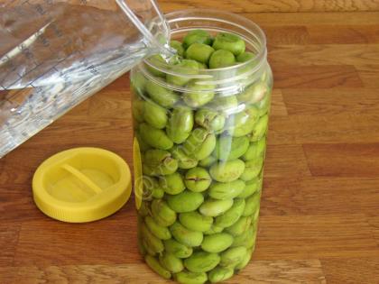 Kırma Yeşil Zeytin