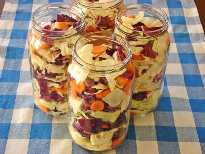 Sirkesiz Lahana Turşusu