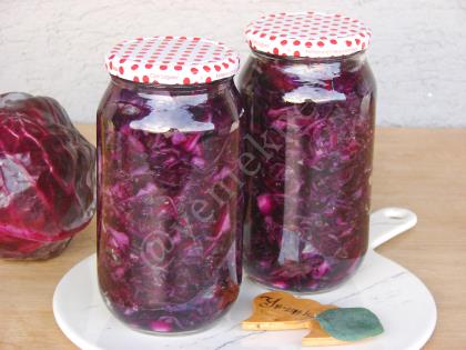 Susuz Mor Lahana Turşusu