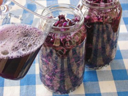 Susuz Mor Lahana Turşusu