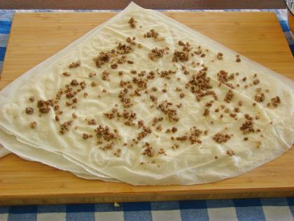 Kıymalı Gül Böreği