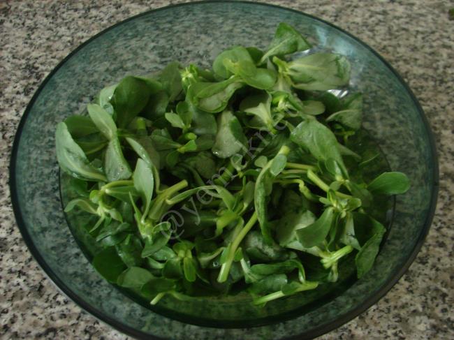 Yoğurtlu Semizotu Salatası - Yapılışı (2/12) 