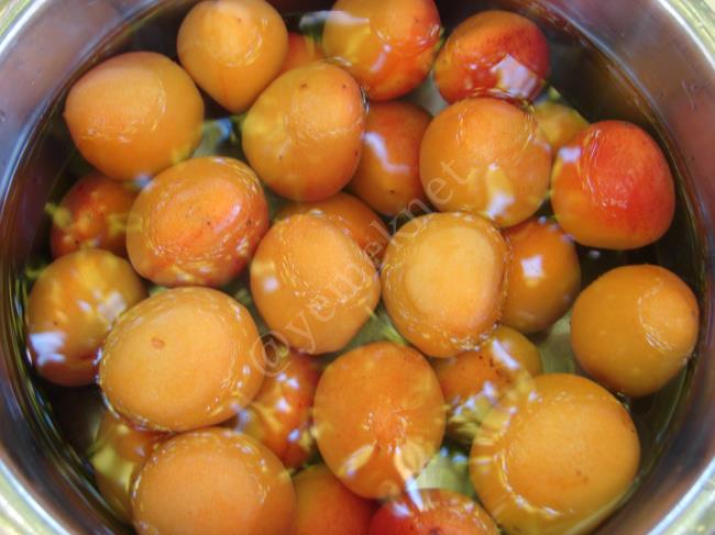 Kayısı Meyve Suyu - Yapılışı (3/12) 