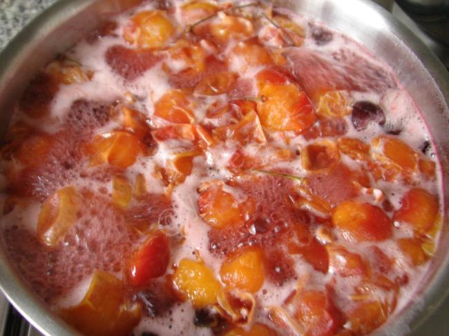 Kiraz ve Erik Suyu Konsantresi (Şekersiz) - Yapılışı (4/8) 