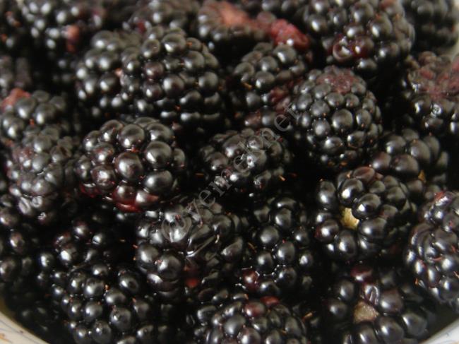 Böğürtlen Suyu - Yapılışı (2/12) 