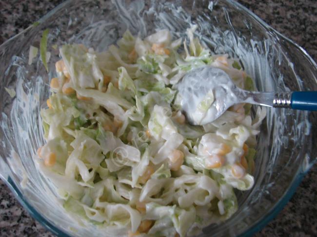 Göbekli Tavuk Salatası (Dukan Usulü) - Yapılışı (6/16) 