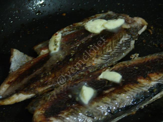 Palamut Tava - Yapılışı (10/16) 