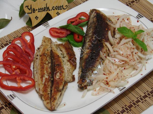 Palamut Tava - Yapılışı (13/16) 