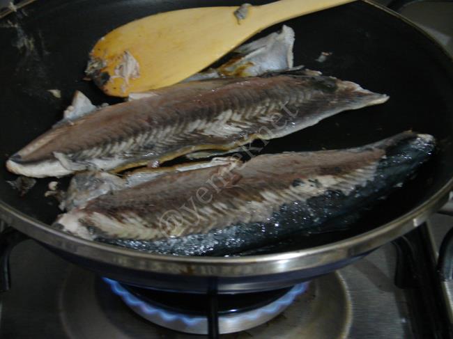 Palamut Tava - Yapılışı (4/16) 