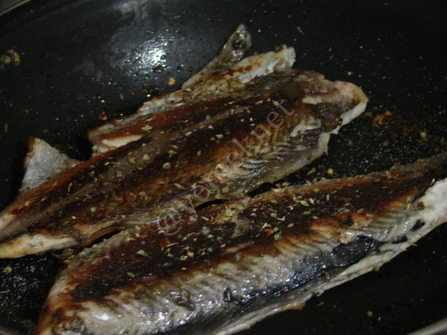 Palamut Tava - Yapılışı (9/16) 