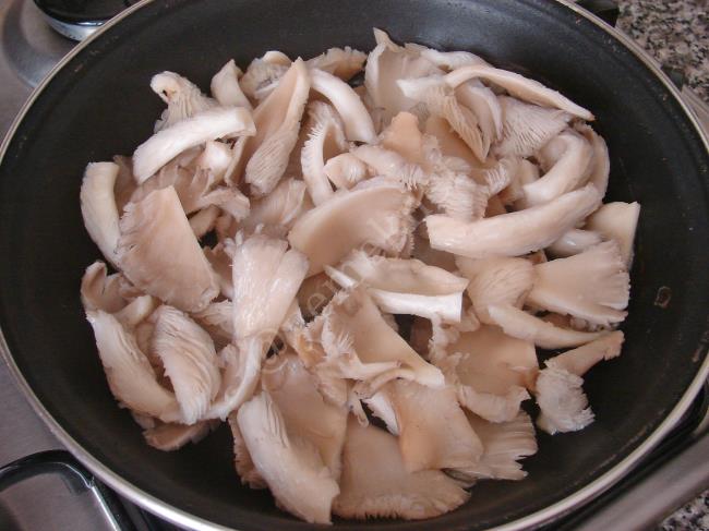 İstiridye Mantar Sote - Yapılışı (5/12) 