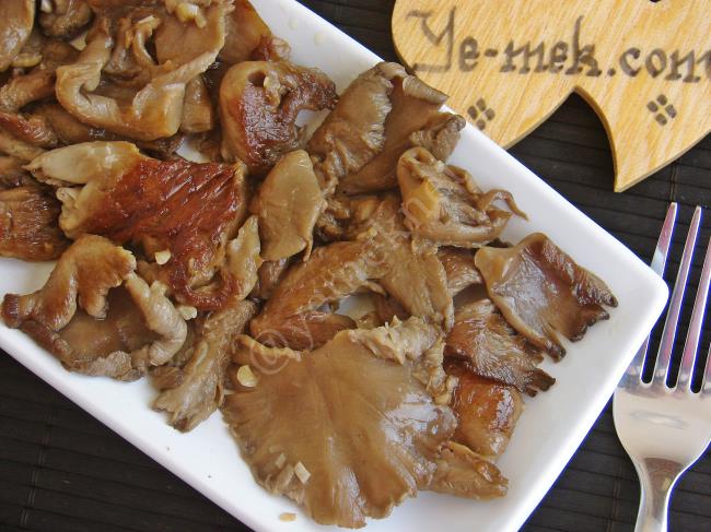 What Is Oyster Mushrooms