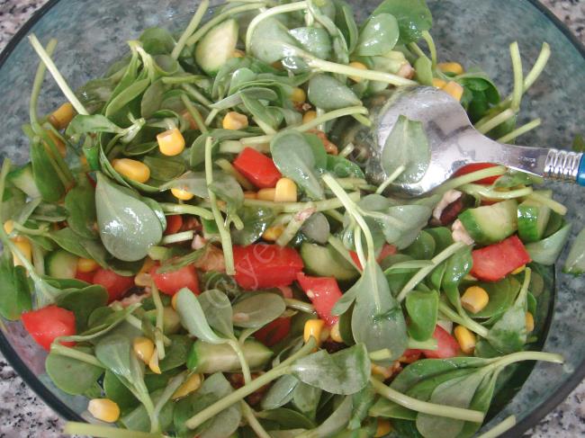 Semizotu Salatası - Yapılışı (5/8) 