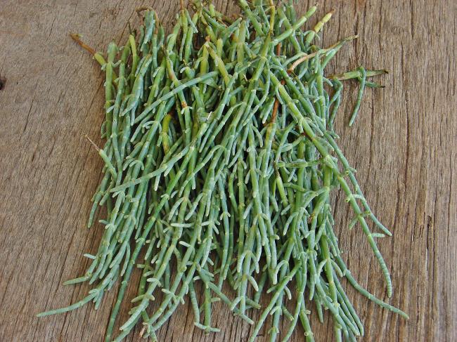 Deniz Börülcesi Salatası - Yapılışı (2/16) 