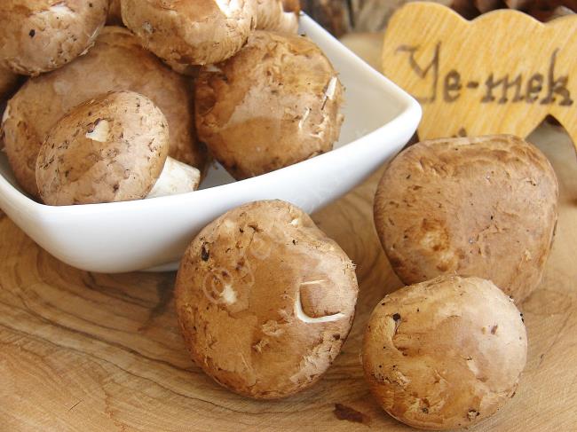 Kestane Mantarı - Yapılışı (2/4) 