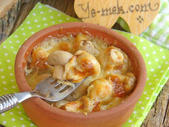 ardisik ambalajin acilmasi satin almak firinda guvec tavuk mantar lonegrovedentist com