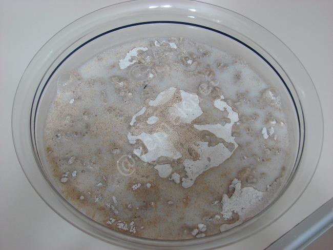 Ev Yapımı Çavdar Ekmeği - Yapılışı (3/12) 