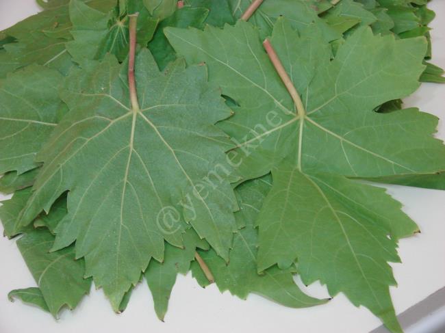 Asma Yaprağı Salamurası - Yapılışı (2/12) 