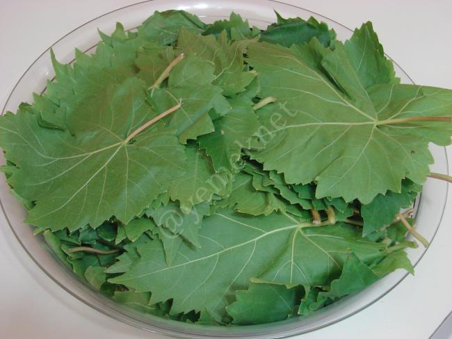 Asma Yaprağı Salamurası - Yapılışı (5/12) 