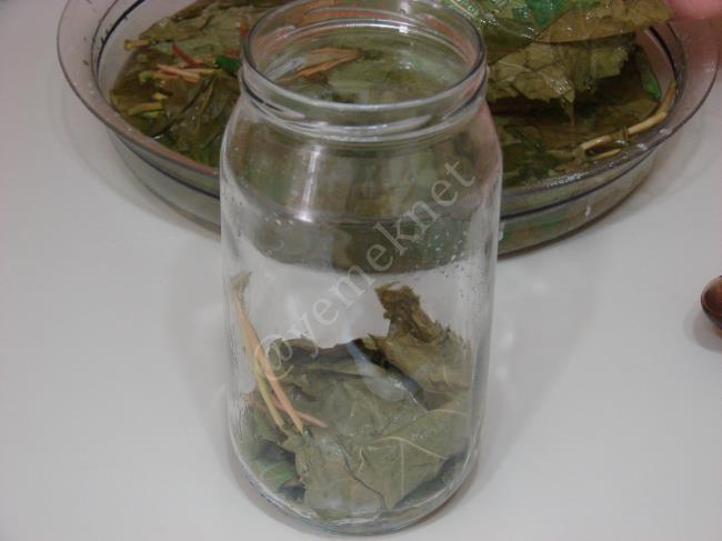 Asma Yaprağı Salamurası - Yapılışı (8/12) 