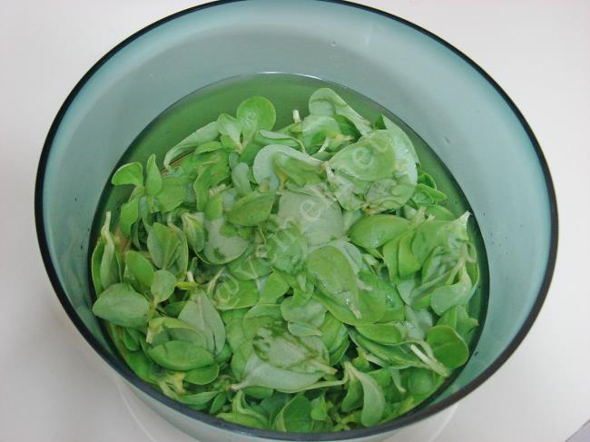 Yoğurtlu Buğdaylı Semizotu Salatası - Yapılışı (3/8) 