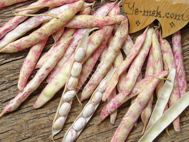 Taze Barbunya Derin Dondurucuda Nasıl Saklanır - Yapılışı (3/8) 