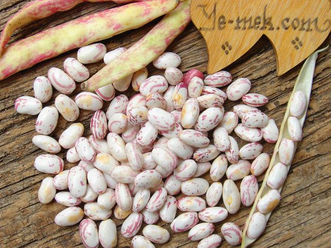 Taze Barbunya Derin Dondurucuda Nasıl Saklanır - Yapılışı (5/8) 