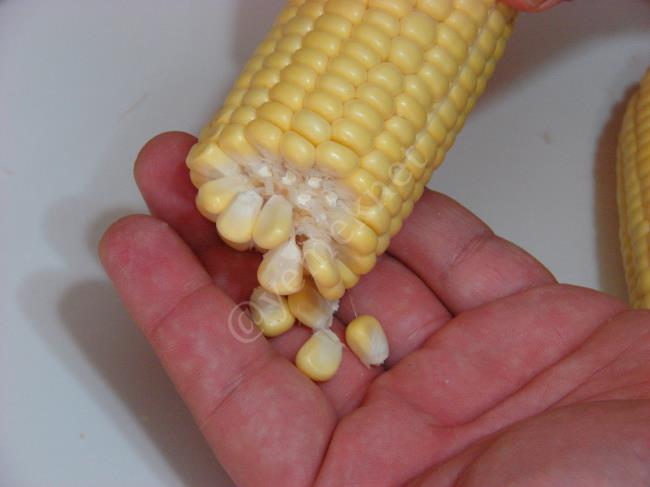 Taze Süt Mısır Buzlukta Nasıl Tane Tane Saklanır - Yapılışı (5/16) 