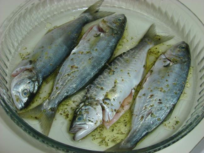 Fırında Çinekop - Yapılışı (4/8) 