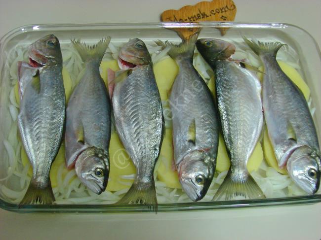 Fırında Patatesli Çinekop Buğulama - Yapılışı (4/12) 