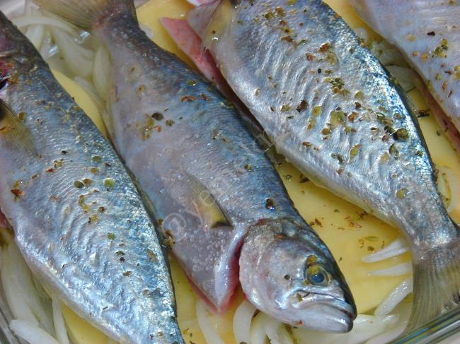 Fırında Patatesli Çinekop Buğulama - Yapılışı (8/12) 