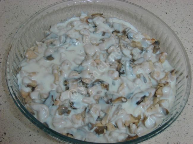 Fırında Beşamel Soslu Tavuk Yemeği - Yapılışı (10/16) 