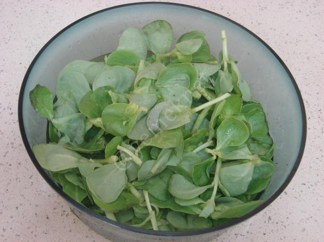 Yoğurtlu Semizotu Yatağında Bulgur Köftesi - Yapılışı (17/24) 