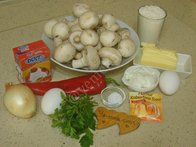 Mantarlı Kiş - Yapılışı (1/20) 