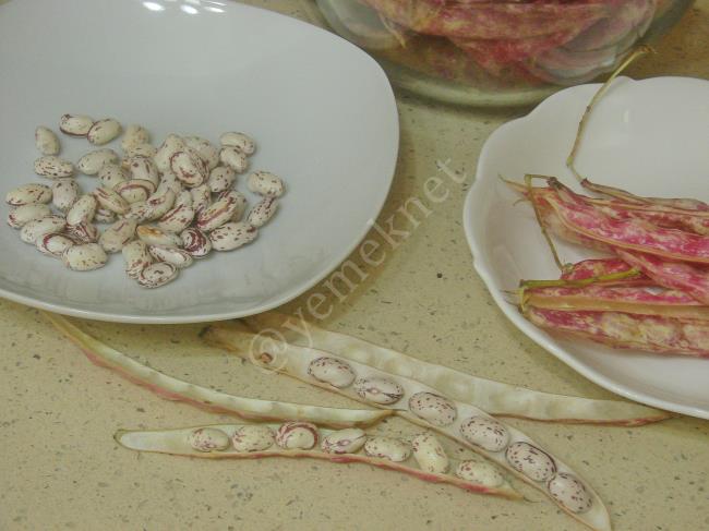 Barbunya Konservesi - Yapılışı (2/12) 