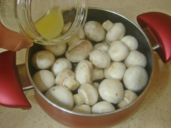 Mantar Graten - Yapılışı (3/12) 