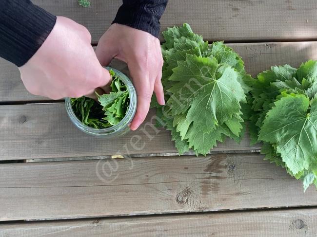 Salamura Yaprak - Yapılışı (2/12) 