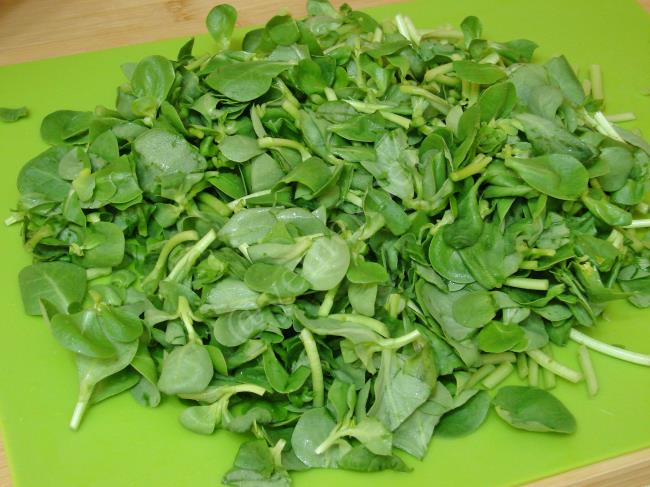 Semizotu Diblesi - Yapılışı (2/12) 