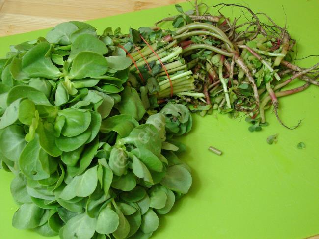 Bulgurlu Semizotu Salatası - Yapılışı (2/12) 